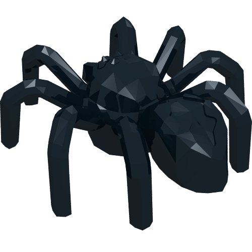 Insect, Spider with Elongated Tail Section