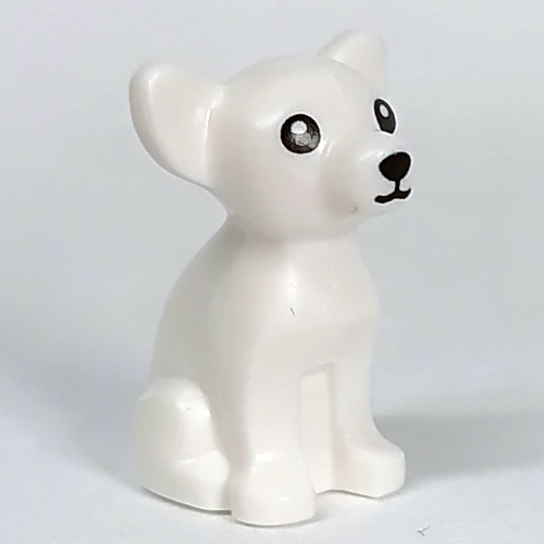 Animal, Dog, Chihuahua with Basic Face Print