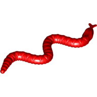 Animal, Snake, Small