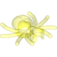 Insect, Spider