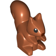 Animal, Squirrel, Standing, Black Eyes and Reddish Brown Nose Print