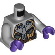 Torso Gold, Dark Brown and Silver Armor Print, Light Bluish Gray Arms, Dark Purple Hands